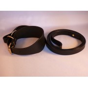 5 ft Single Buckle Collar and Lead